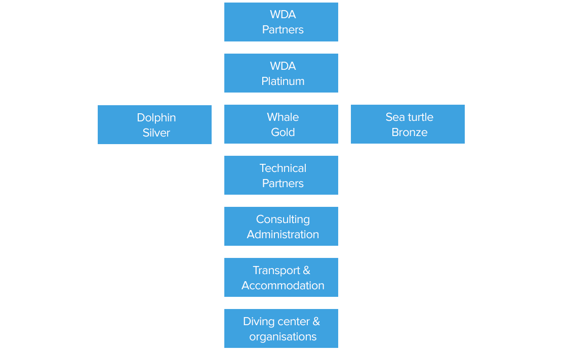 Partnership & Sponsorships 